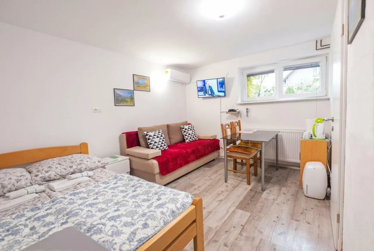 Newly Renovated Studio With Air Conditioner & Free Parking Ljubljana
